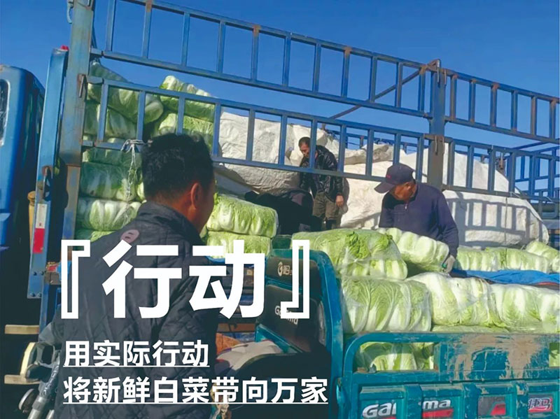 爱心助农，，，，，，97国际在行动