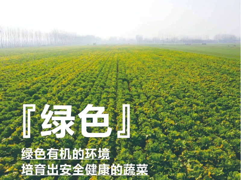 爱心助农，，，，，，97国际在行动